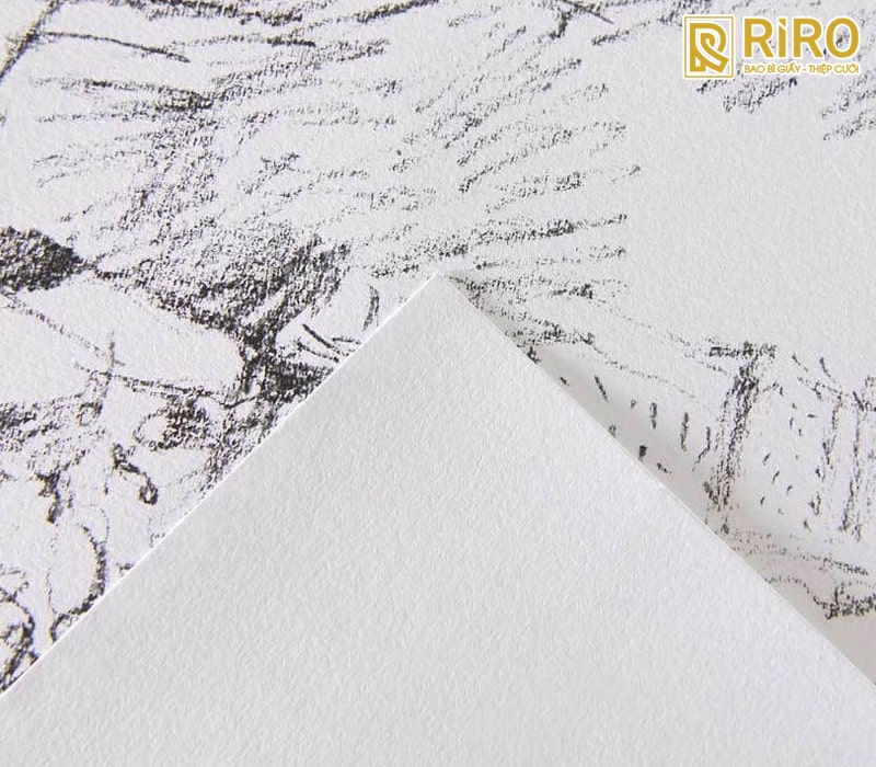 Giấy Canson vẽ chì, ký họa