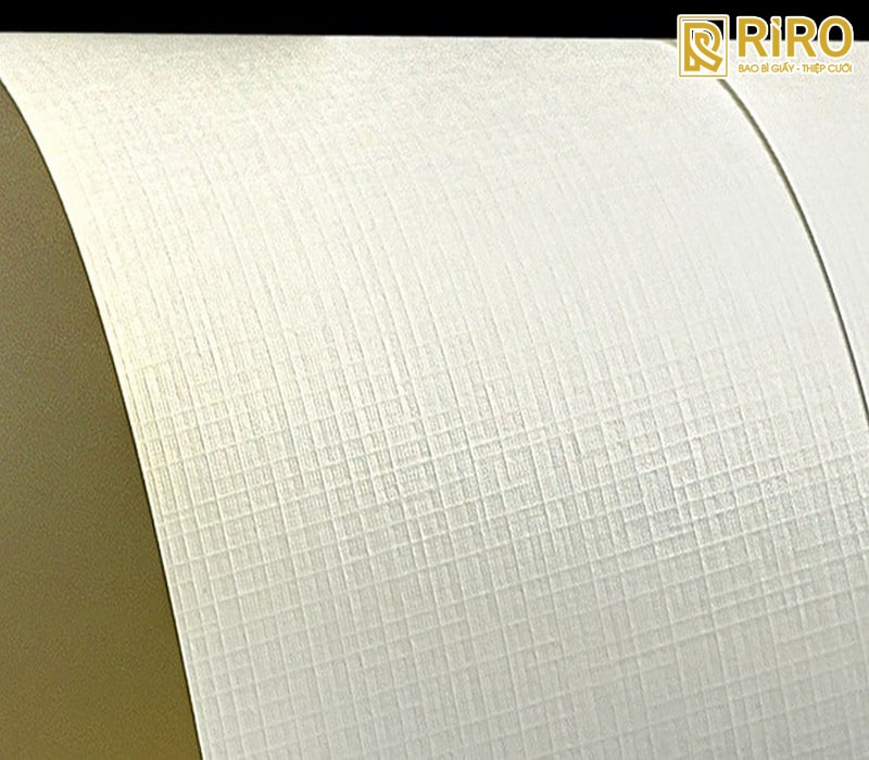 Giấy mỹ thuật có vân (Textured Paper)