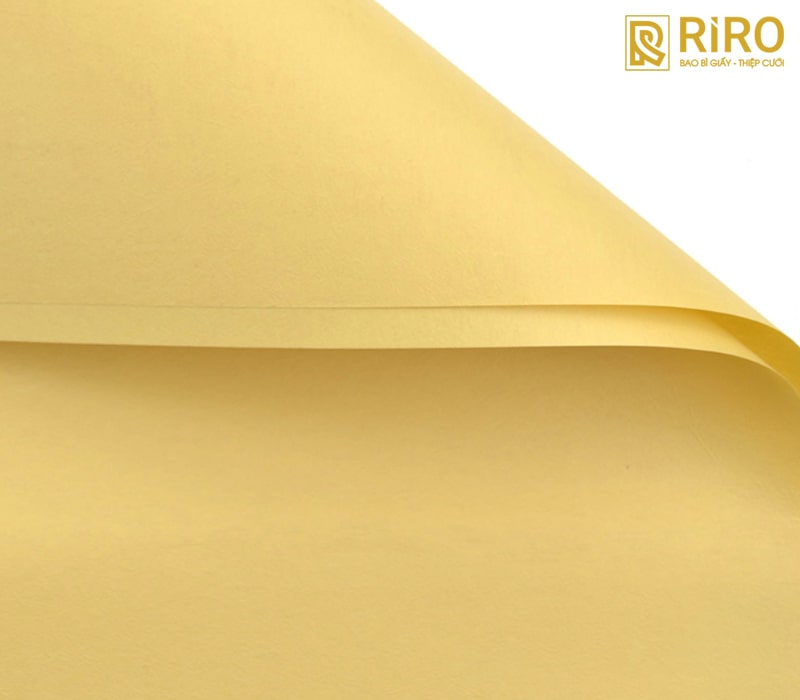 Giấy mỹ thuật trơn (Smooth Paper)