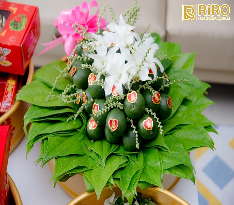 Lễ dạm ngõ (ra mắt hai gia đình)